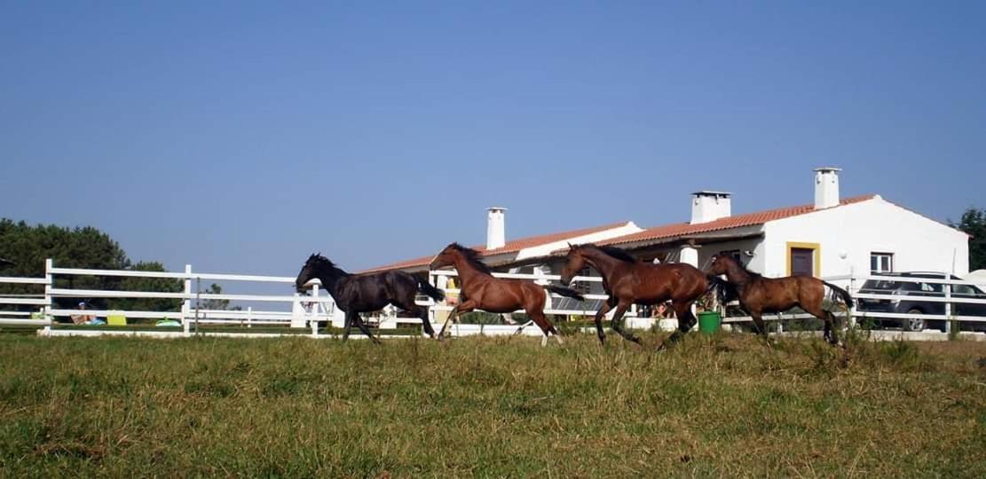 Vakantieboerderij Setequintas Zambujeira do Mar